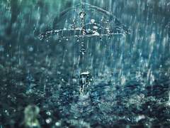 [KKIR] 비 그림자.