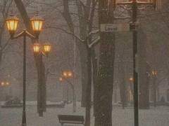 [우찬] 사람이 사랑하면 안돼요 - 中