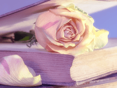 엄청난 지킬 앤 하이드의 오타쿠 [망각커]