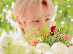 온리 원나잇 윗 미: 사랑하는 모든 것들은 애칭을 가진다 (外)