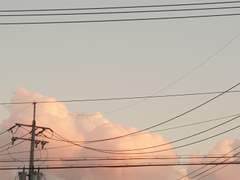 『무해한 걔 고백로그』