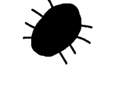 01. 바퀴벌레와 동거