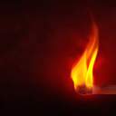 타올라라 호열준호