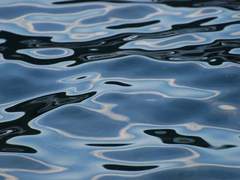 첫사랑의 법칙 1