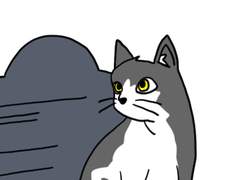 135. 고양이 Toldo