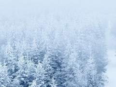 [중부자] 회색빛 세계로부터