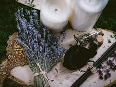 러브 포션 넘버 포