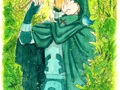 fate grand order 로빈후드 연성