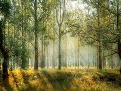 그런 네가 좋아.