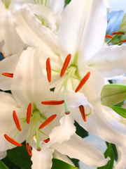 여돌 팬픽 단편