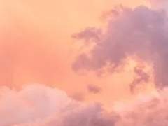 작은 꿈이 있노라면,