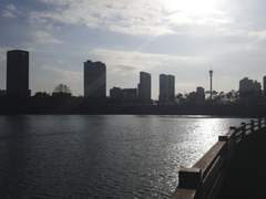 일상, 여행 사진