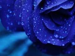 [상시슬롯제] ❤️‍🔥프꾸해주는 집사님❤️‍🔥 (프로필/신청서 꾸미기 커미션)