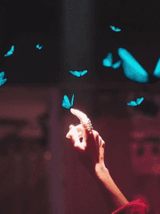 후유님 글커미션