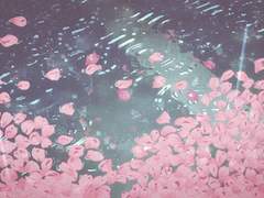 정서연_Xx_23_웨딩