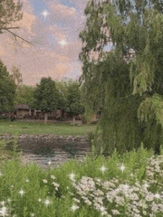 여우신께서 내려오셔