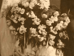 봄바람에 꽃 피고 꾀꼬리 꽃나무 앉아...