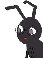 오늘도 개미는 학교에 간다