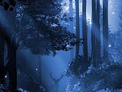 [BL] 카미카쿠시 #2