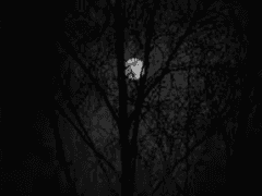 3년이라는 시간 下