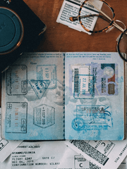 워홀 비자를 취득했다