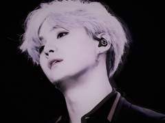 그 작은 새는 주인이 있습니다 11