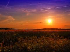 바람에 흩날려 날아가야지,