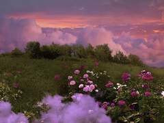 낭만은 끝내 우리의 것이 아니었으니,