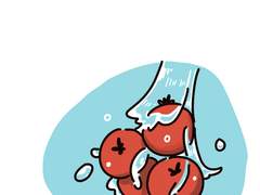 베이글과 이것저것