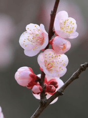 화산귀환 주인공 굴리기