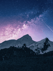 포카 및 증사 도안