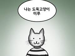 4. 도둑고양이 미루