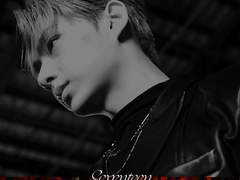 날개가 꺾여 조화처럼 걸려있다