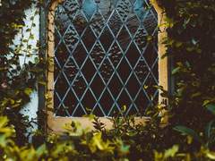 [고죠유지] 인어2