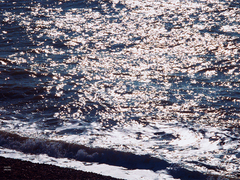 신 빙하기 소장본 후기