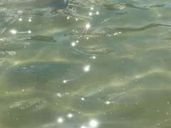 [재숕] 너와 나의 거리 上