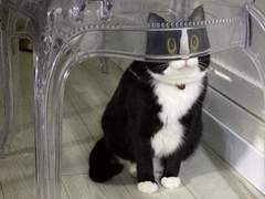 008 어나더 백문백답