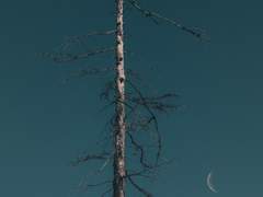 마지막 겨울_ 00