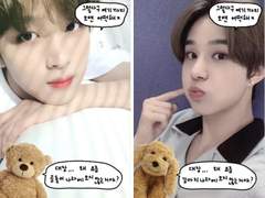 🐻투명포카 도안 배포🐶 곰돌이강아지