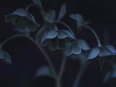 이제는 신이 아닌 하늘에게 비는 기도.