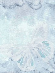 폴리크롬 신드롬