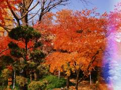 그래도 섹스는 하고 싶으니까