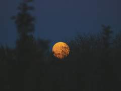 슬픔이여 그러니 안녕