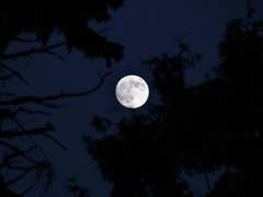 리도이 고아원 얘기