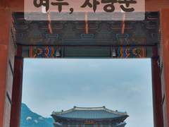 [센조차영] 여우와 사냥꾼 11