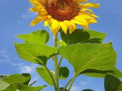 나에게 돌아온 너와의 시간