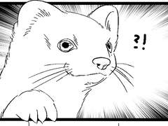 황필) 행복한 족제비🍀02