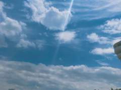 랭커배 왓츠 인 마이 백 결과