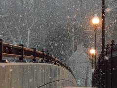 사랑한다고 말 해줘