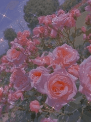 내 마음속의 마니또